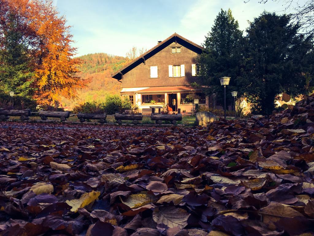 Le Chalet Luttenbach-près-Munster Zewnętrze zdjęcie