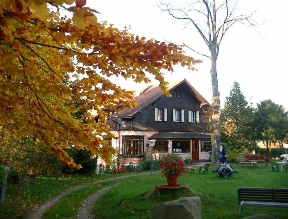 Le Chalet Luttenbach-près-Munster Zewnętrze zdjęcie